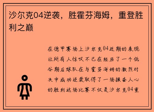 沙尔克04逆袭，胜霍芬海姆，重登胜利之巅